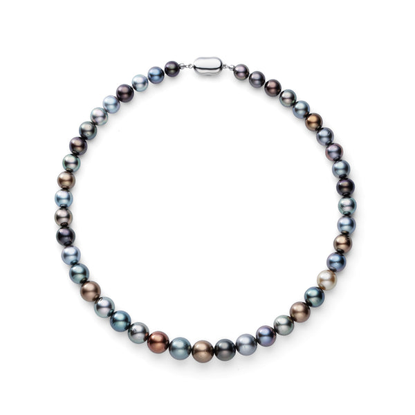 黒蝶パールマルチカラー連ネックレス