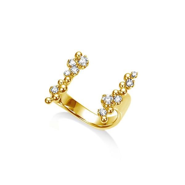 Ripple~リップル~ K18イエローゴールド ダイヤモンド リング AR-199