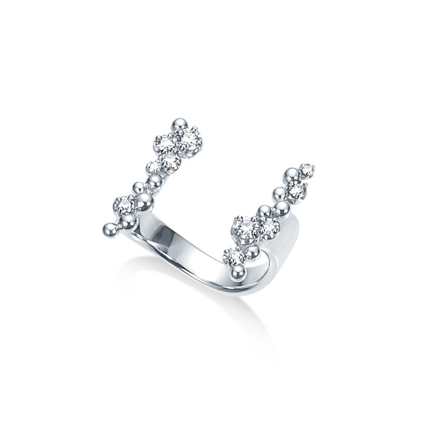 Ripple~リップル~ プラチナ ダイヤモンド リング AR-199